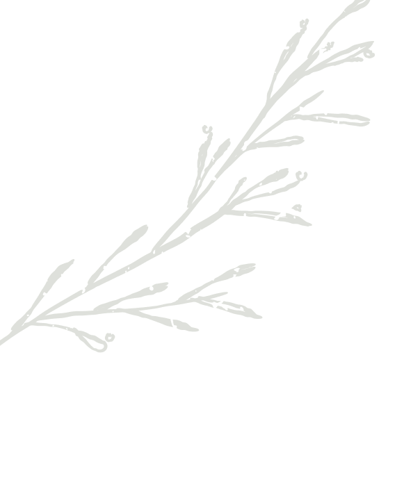Decorative branch
