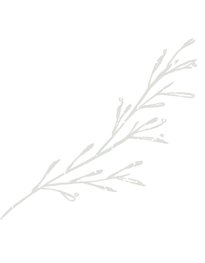 Decorative branch