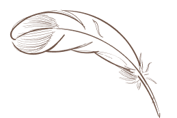 Decorative feather